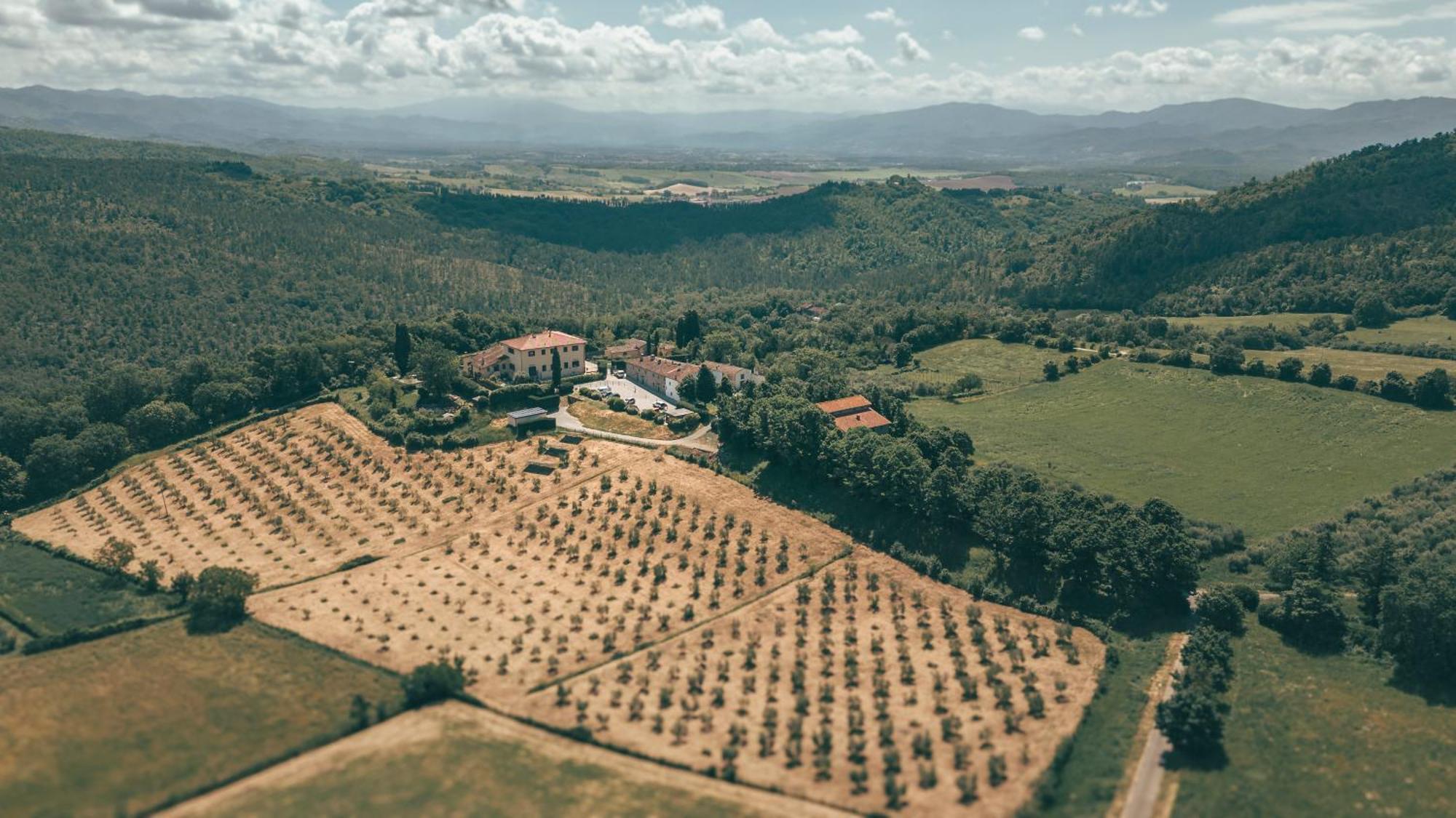 Villa Erbaia Relais De Charme Barberino di Mugello Esterno foto
